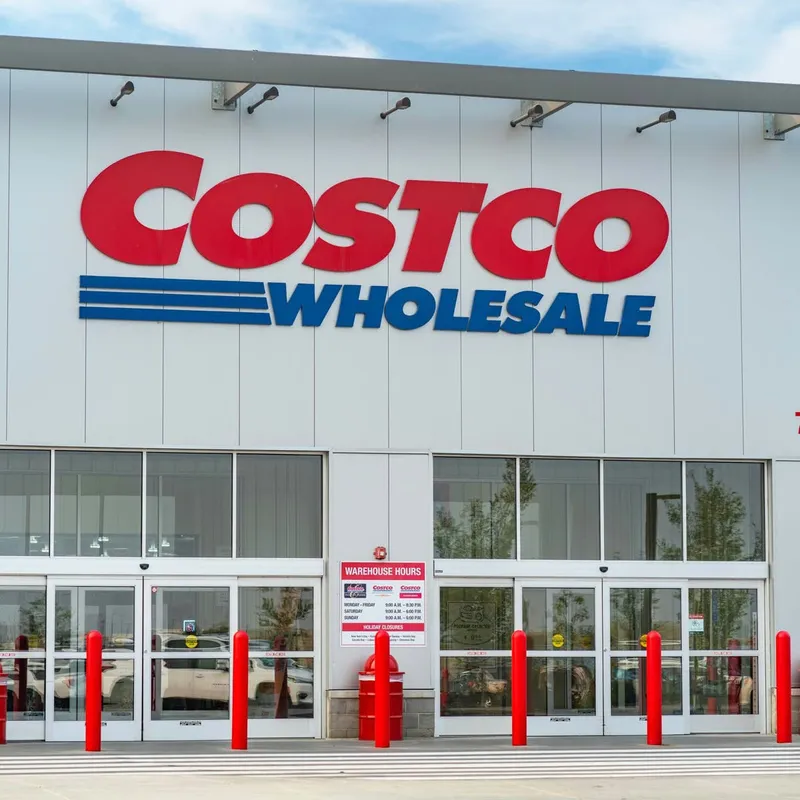 Costco Offers a Washable Area Rug That Suits Dog-Friendly Households