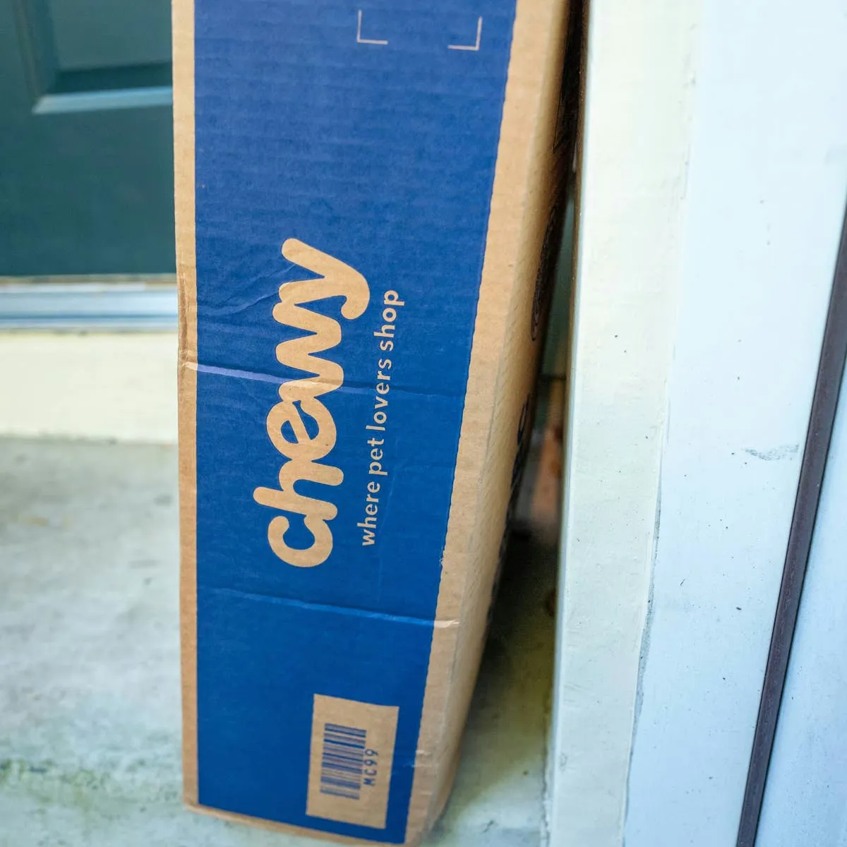 Chewy's 60-Inch Feandrea Cat Tower Gives Multi-Cat Homes a Vertical Solution