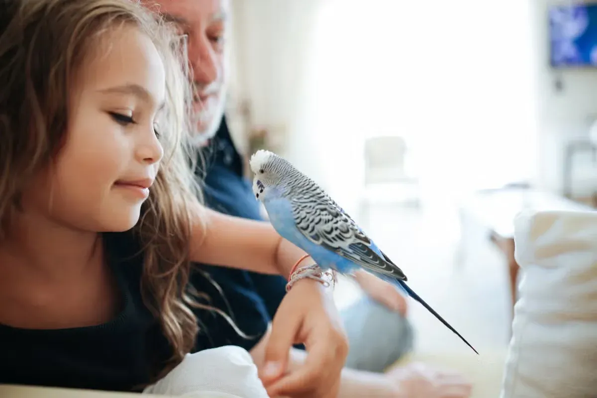 A pet budgie perched on a girl's wrist.