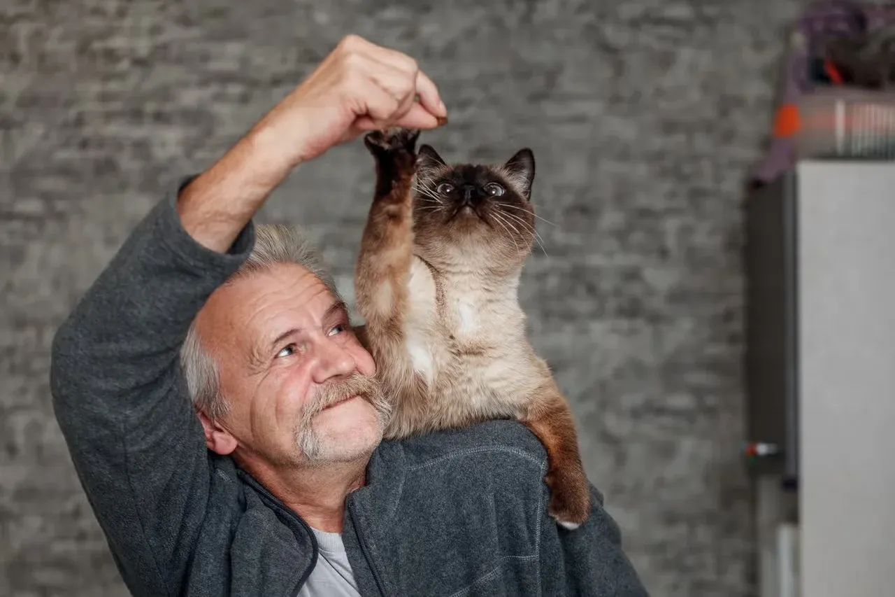 An old man playing with a cat