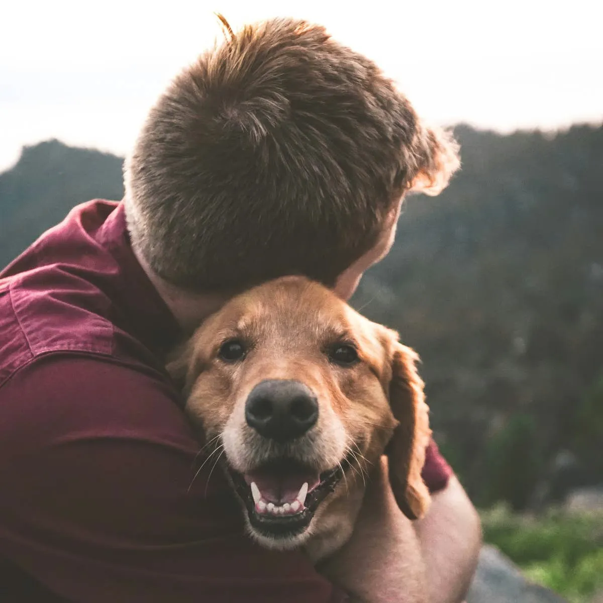 Key Care Points for Dog Parents: Paws, Dental Health, and Preventative Treatments