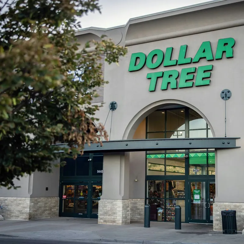 Dollar Tree Now Has $5 Bolster Pet Beds in Multiple Adorable Styles