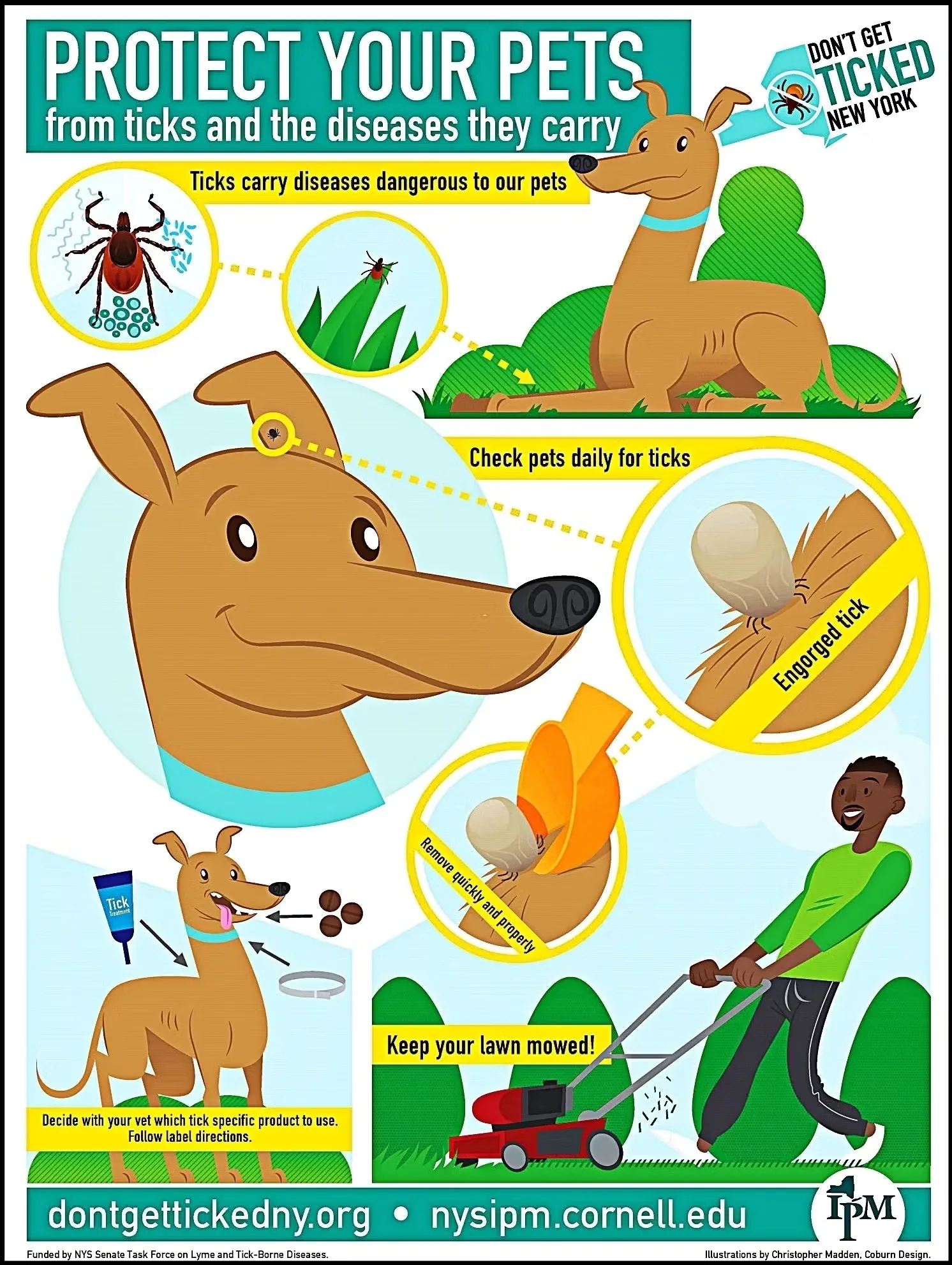 Protect Your Pets From Ticks Infographic