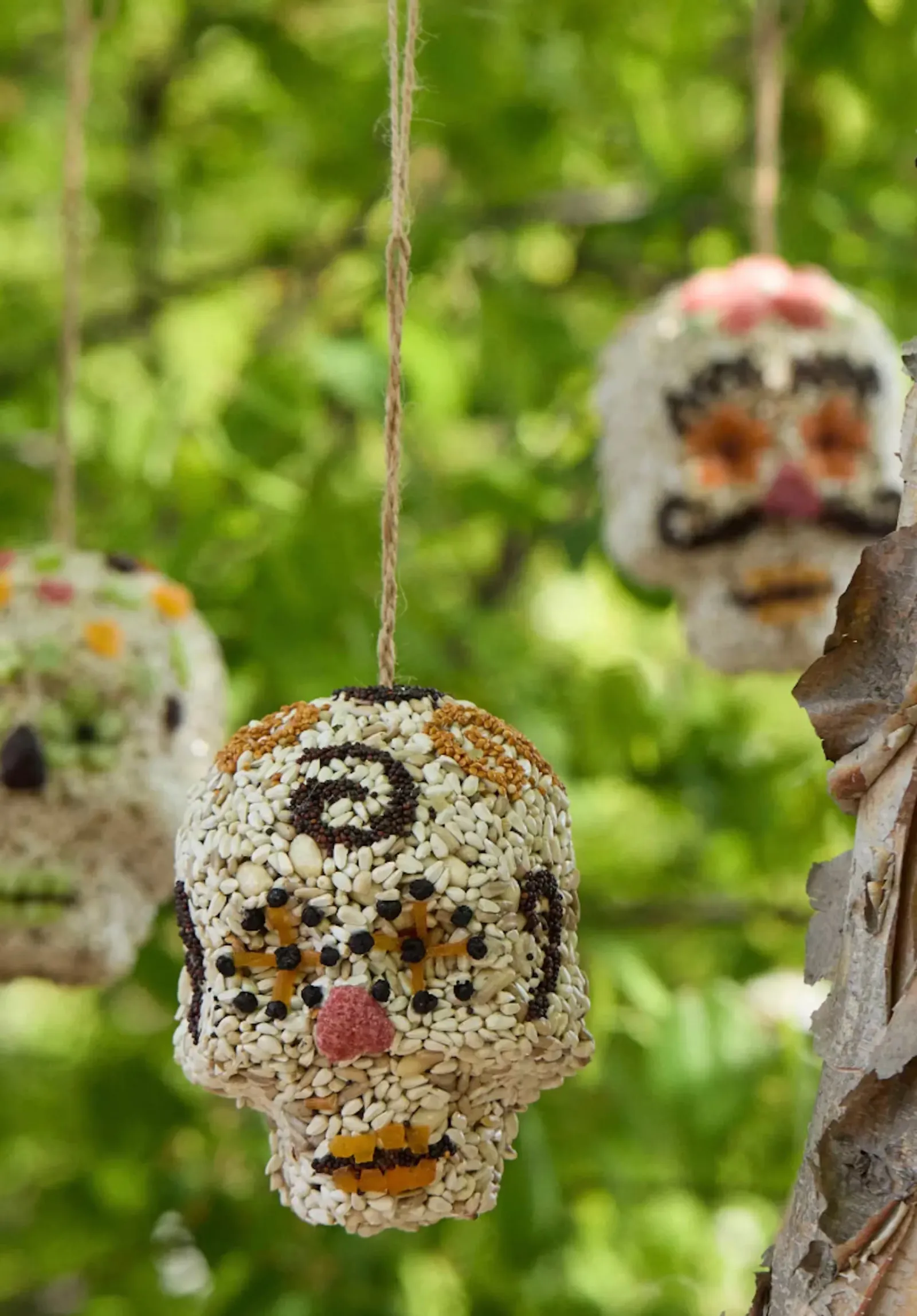 Anthropologie Skull Bird Feeder