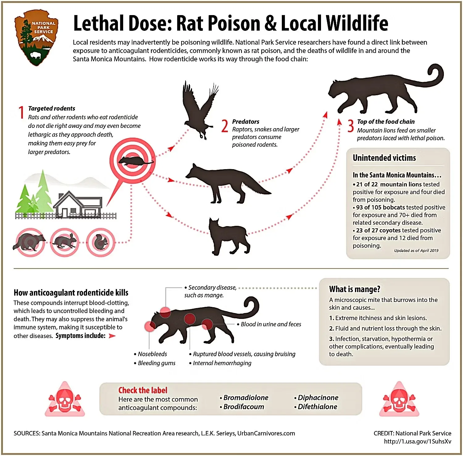 Rat Poison & Local Wildlife Infographic