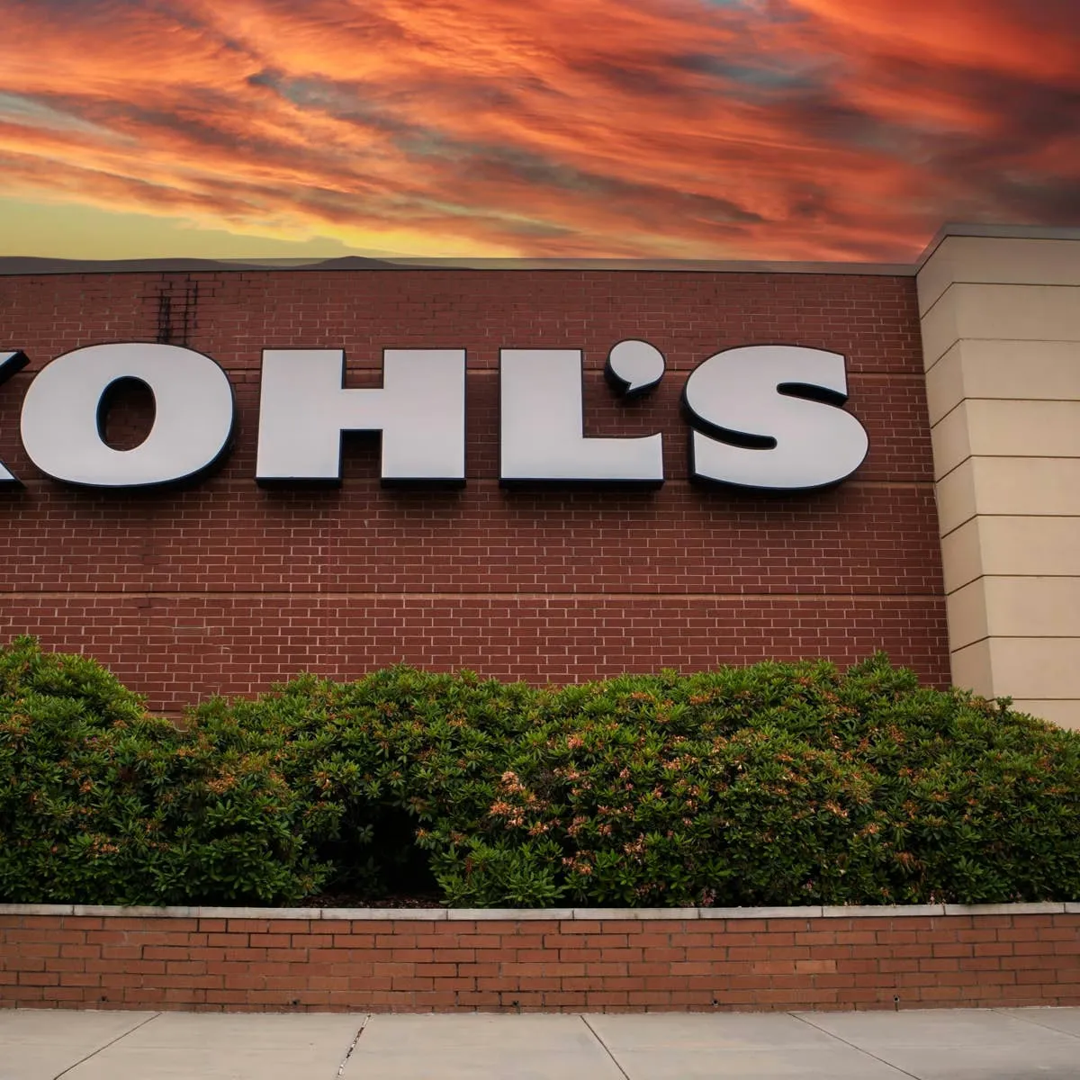 Kohl’s Shoppers Give High Marks to This Roomy, Foldable Cat Carrier
