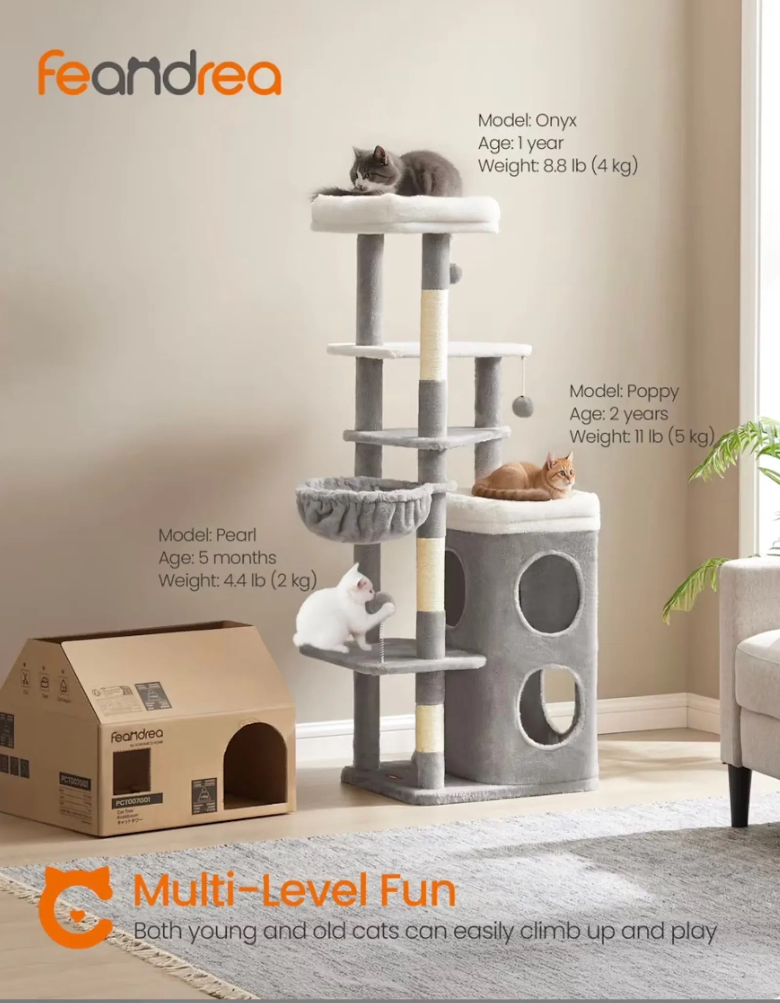 Chewy Cat Apartment