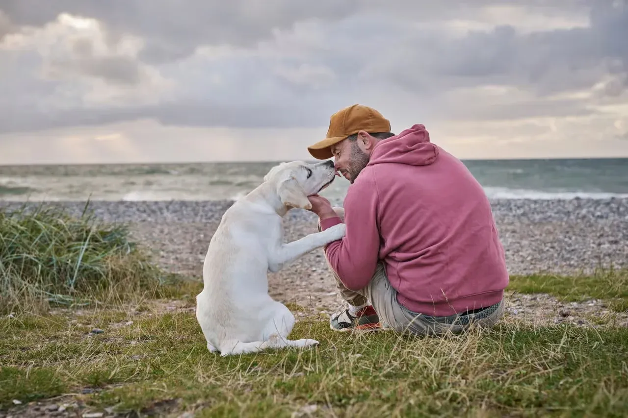 A dog kissing its owner and showing its bonded to him.