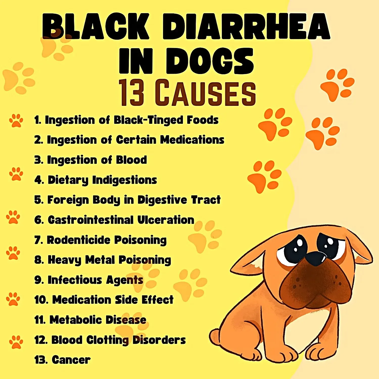 Black Diarrhea in Dogs: 13 Causes Infographic
