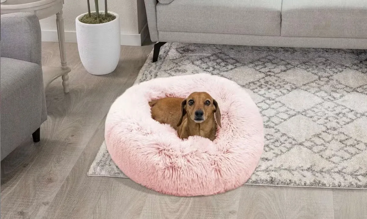 Best friends by Sheri Cotton Candy Pet Bed