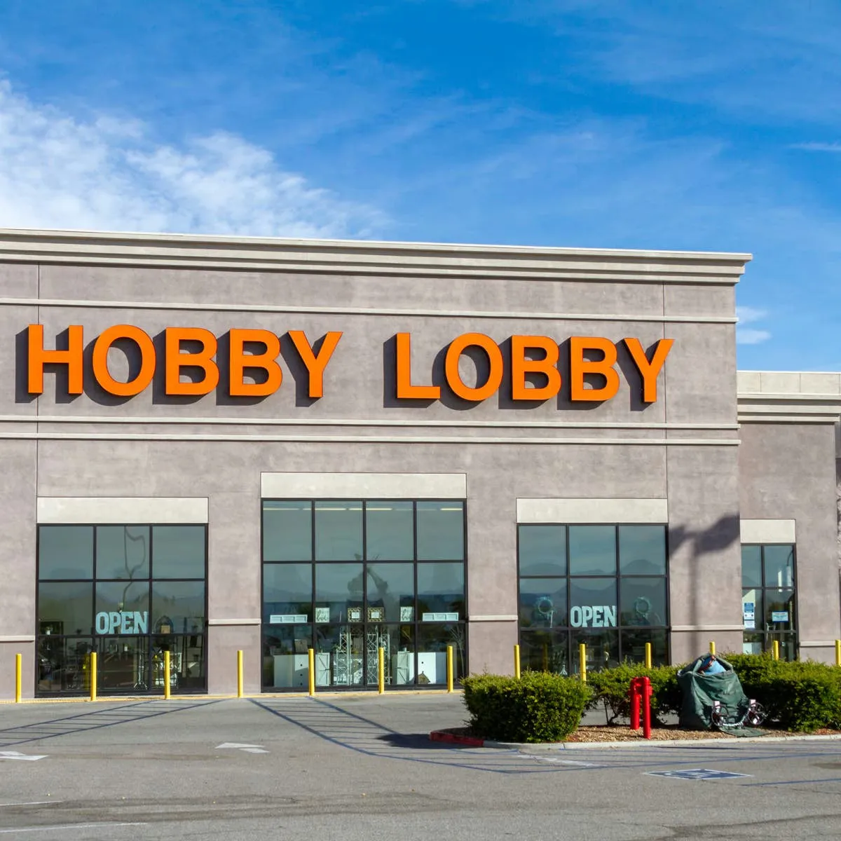 Hobby Lobby Dog Wall Hook Review: A $4 Solution for Leash Storage