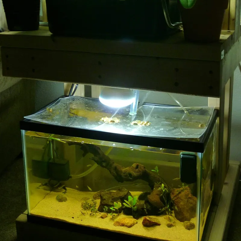 Turning a Fish Tank Into a Working Aquaponic Garden