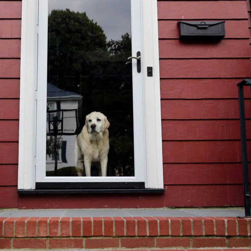 The Expert-Approved Way to Reassure Your Dog You'll Return