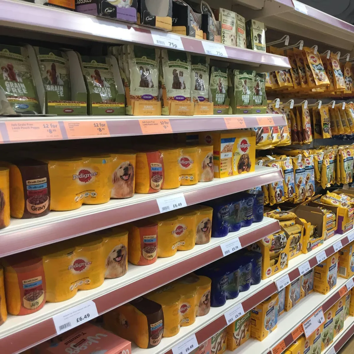 Dog Chews and Snacks: Hidden Risks You Should Know About
