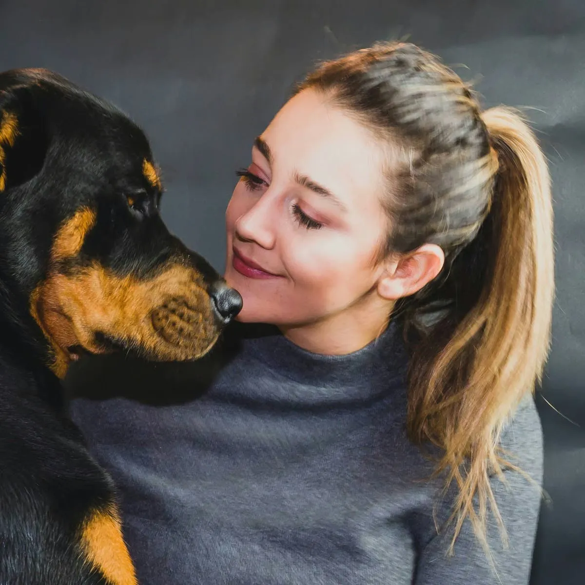 Considering a Rottweiler? Key Points from an Experienced Owner