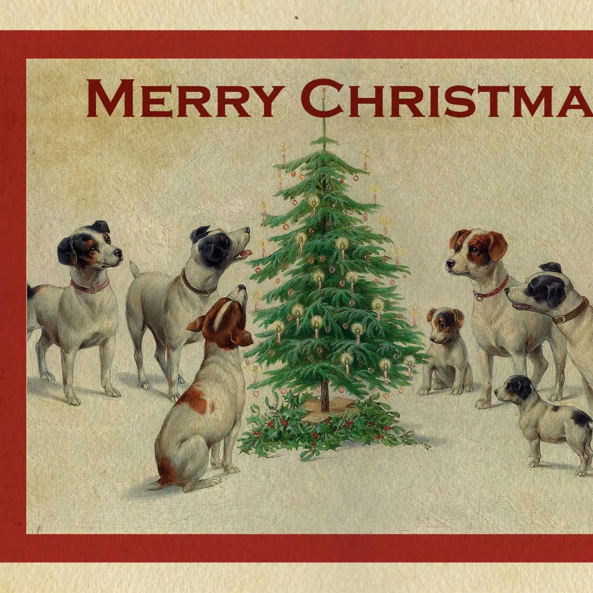 Holiday Hazards: Protecting Your Dog During Christmas