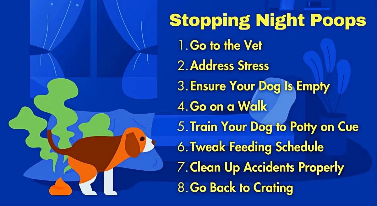 Stopping Night Poops