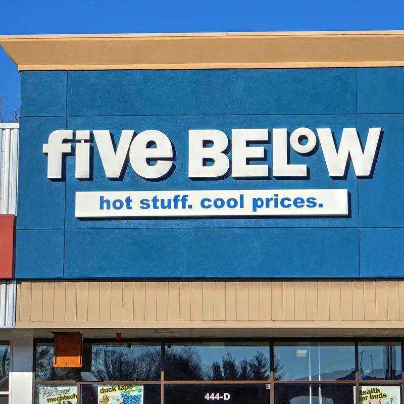 Five Below Offers a $5 Charm Necklace That Lets Pets Shine