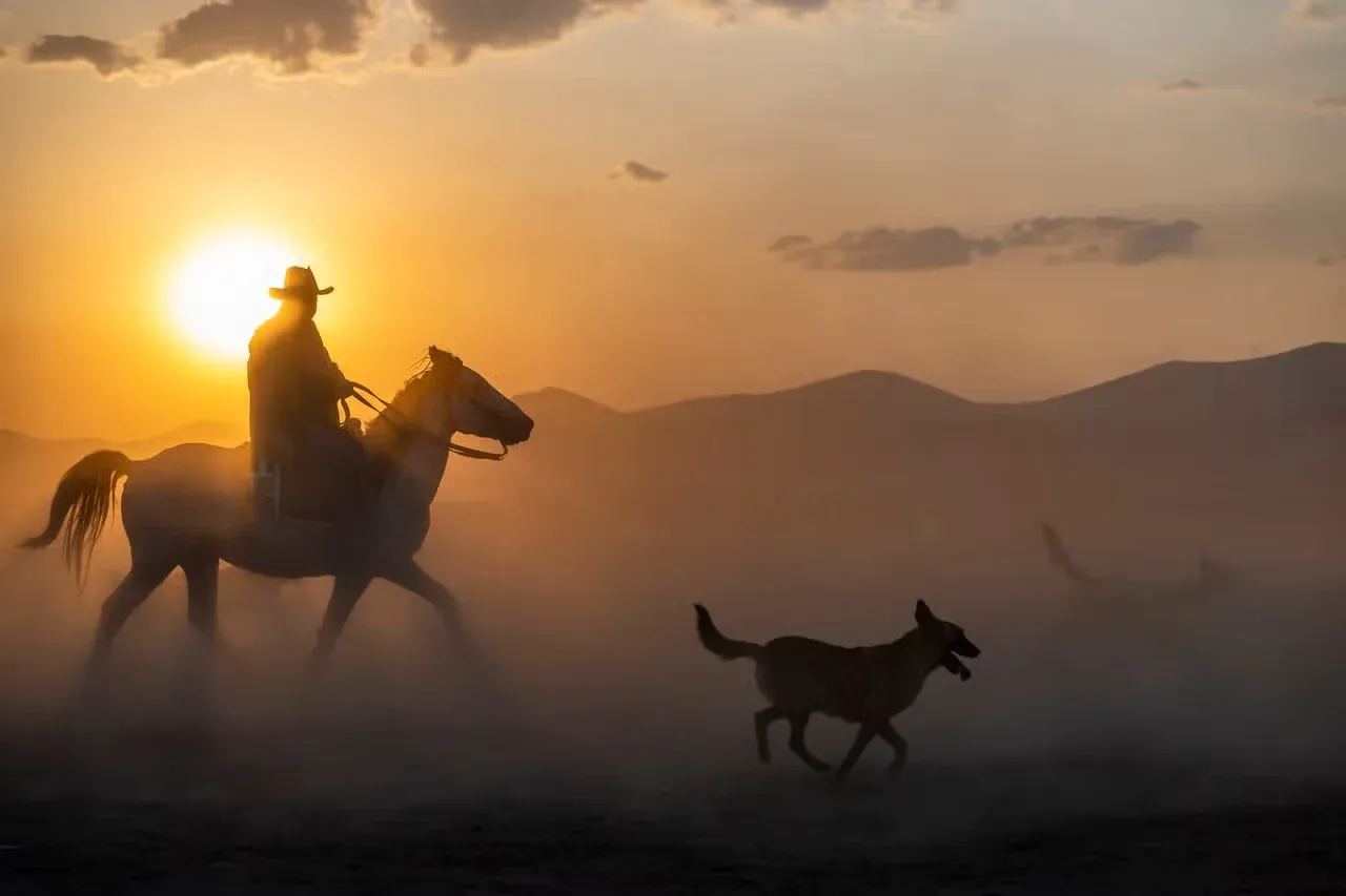 A cowboy and his country dogs out on the range at sunset.
