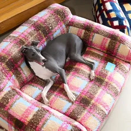 Dog laying in couch pet bed