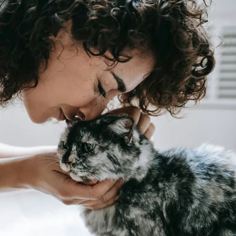 Top 20 Adorable Names for Girl Cats and Their Backstories