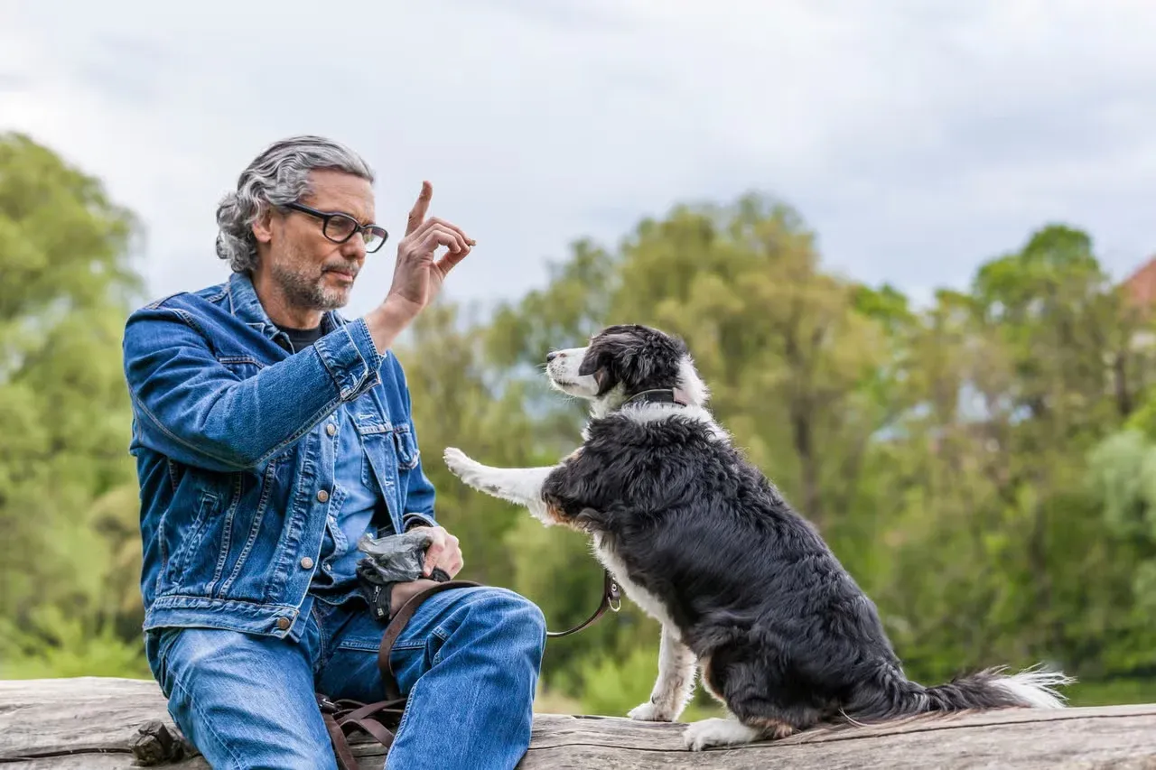 A dog owner using positive training to show love.