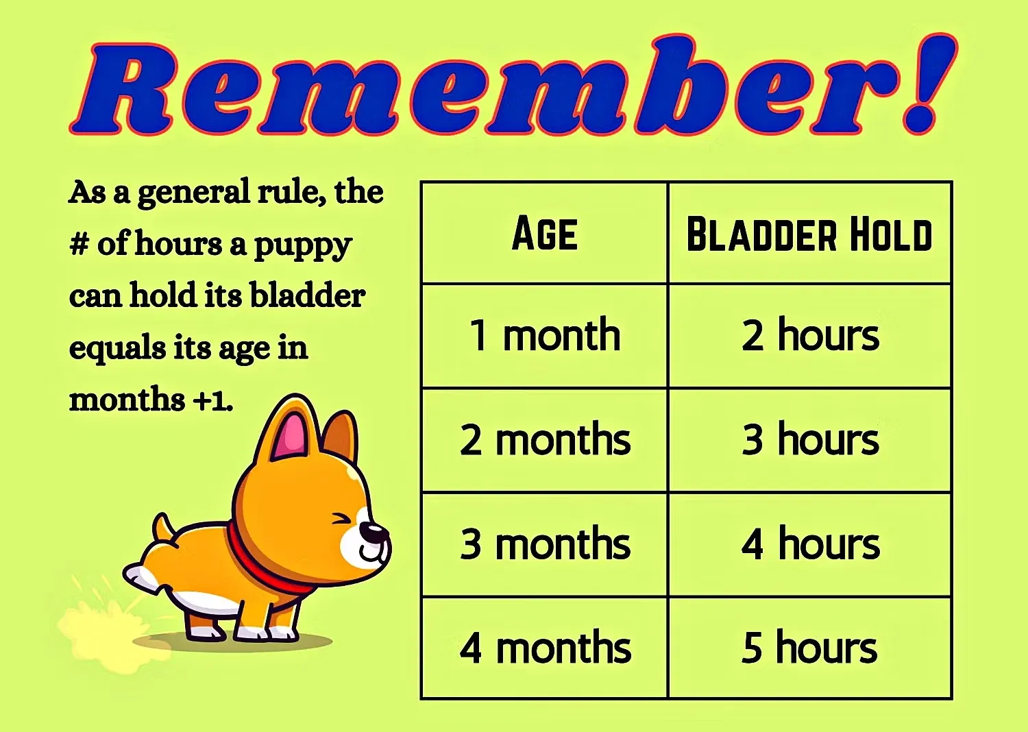Puppy Bladder Infographic
