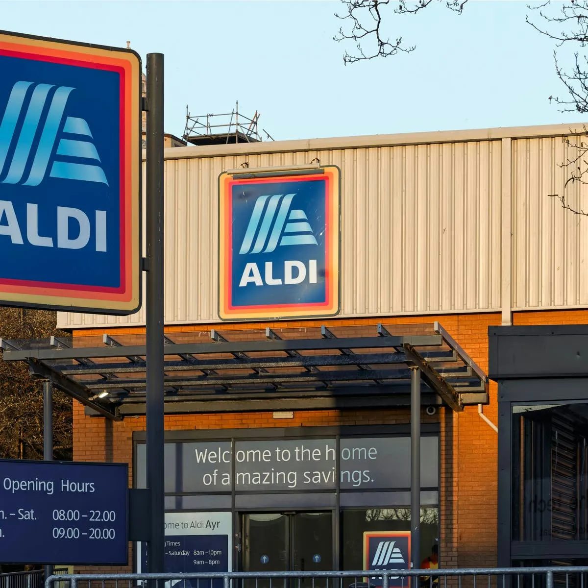 Aldi Debuts Orthopedic Boucle Pet Beds for Chilly Days