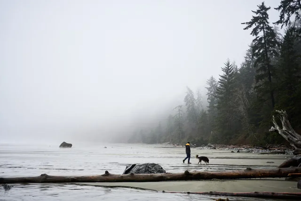A hiker and their dog on a beach in the Pacific Northwest.