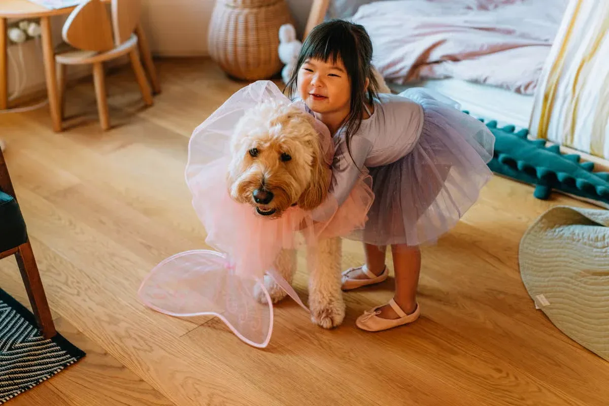 A little girl dressing up her dog in a tutu.