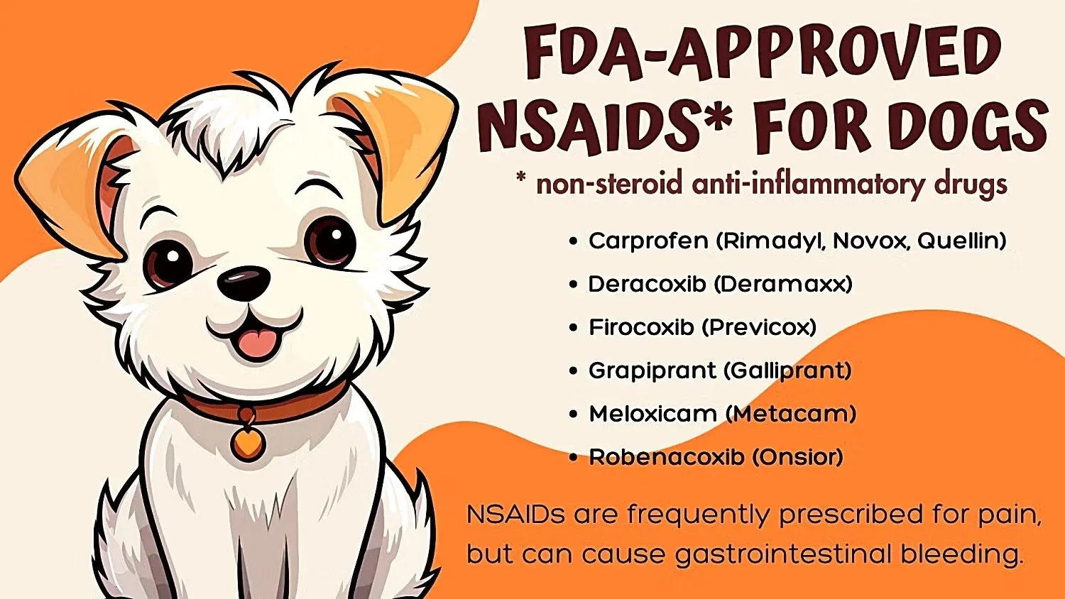 FDA-Approved NSAIDS for Dogs Infographic