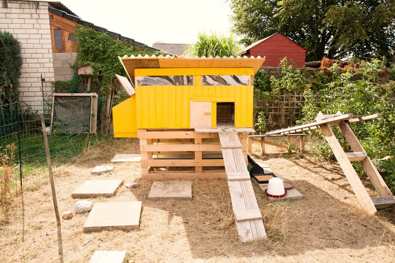 A bright yellow chicken coop in a backyard garden.