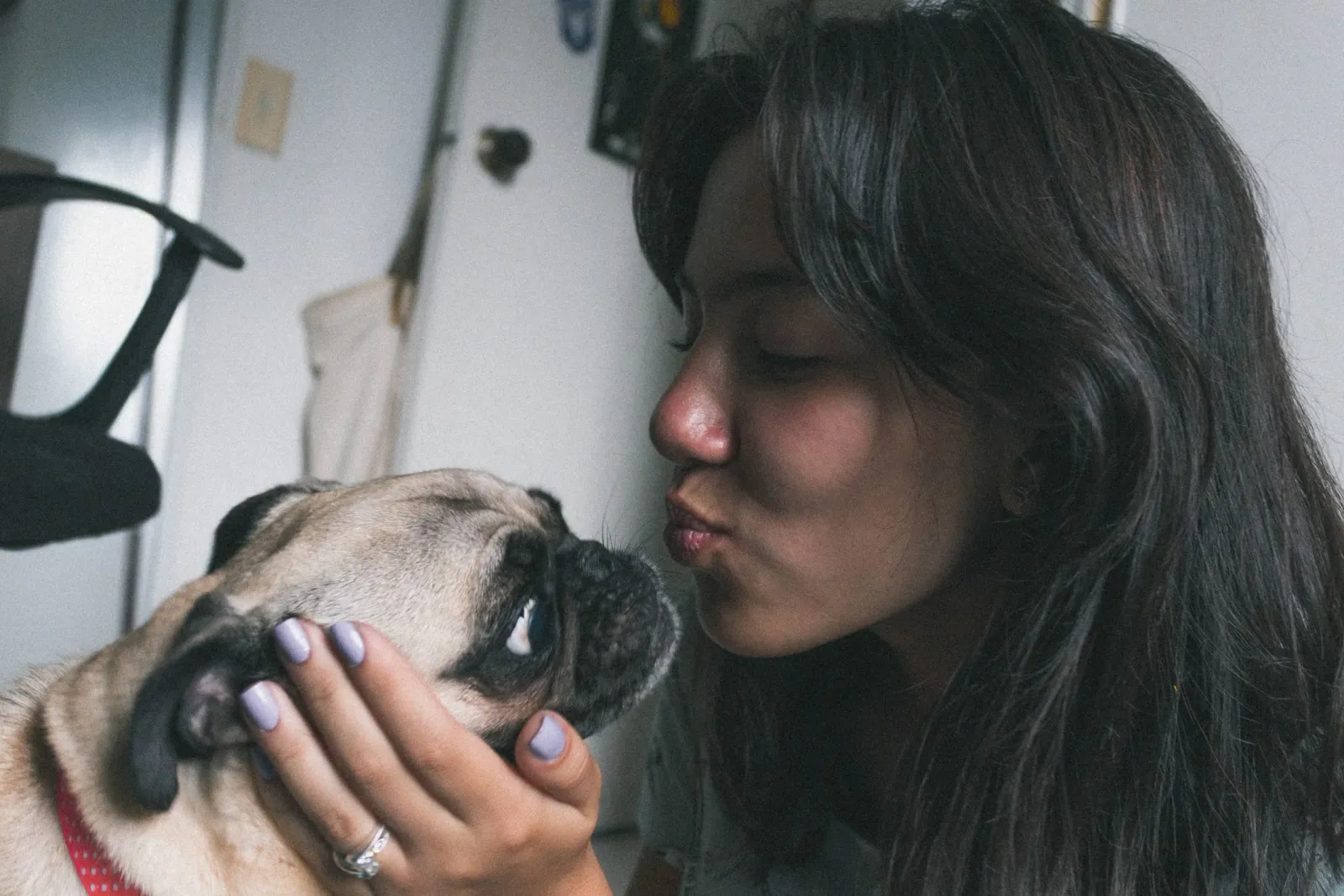 Woman kissing pug