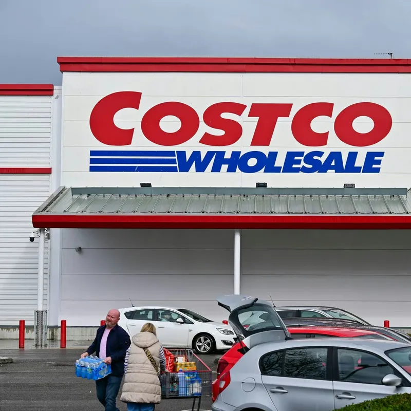 Costco Reintroduces the Kitty City Mega Catio Bundle to Its Shelves
