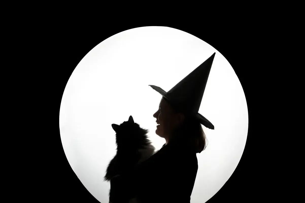 Silhouette of a witch and her cat in front of the moon.