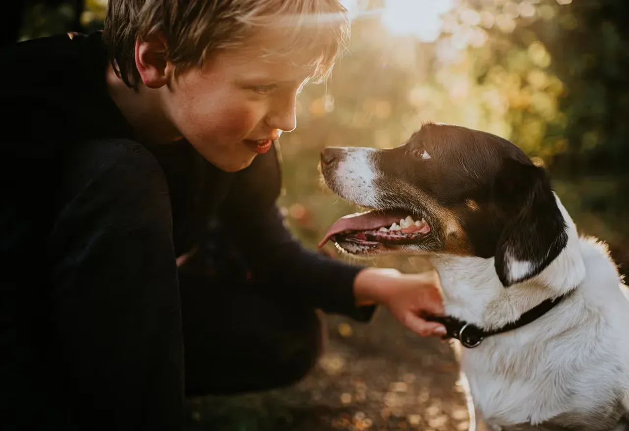 A dog and owner communicating and connecting.