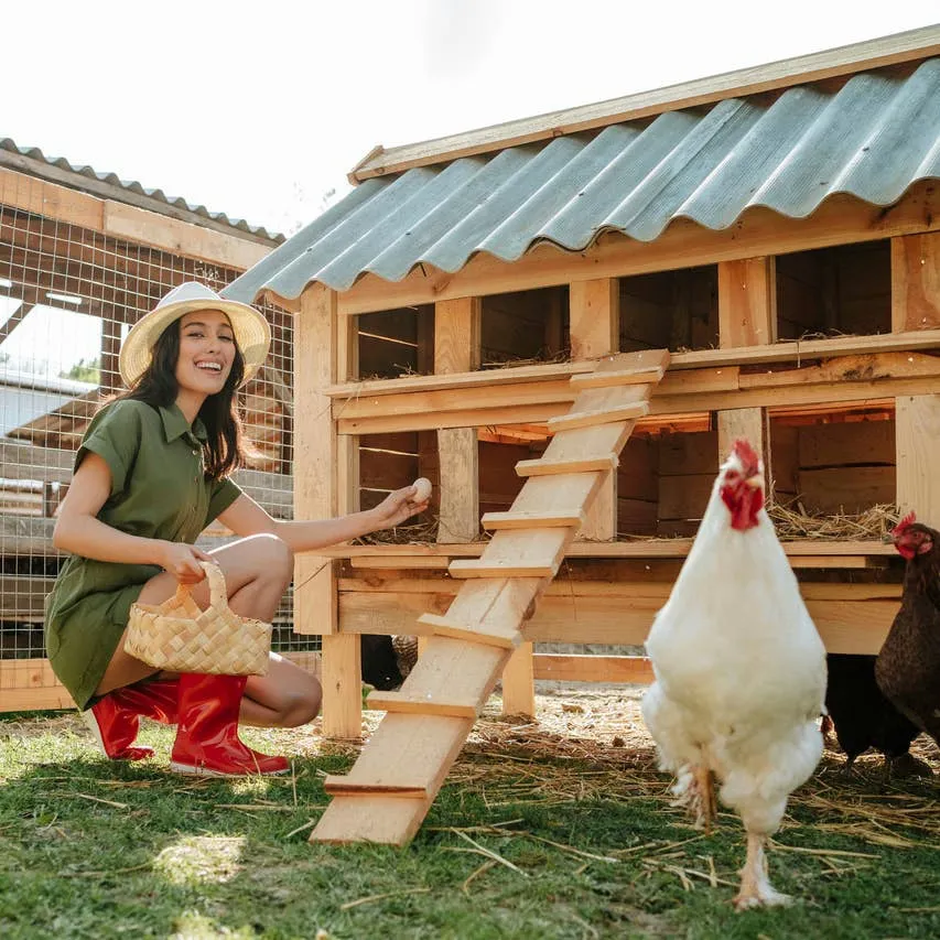 Chicken Coop Naming Guide: Over 100 Playful, Punny and Charming Ideas