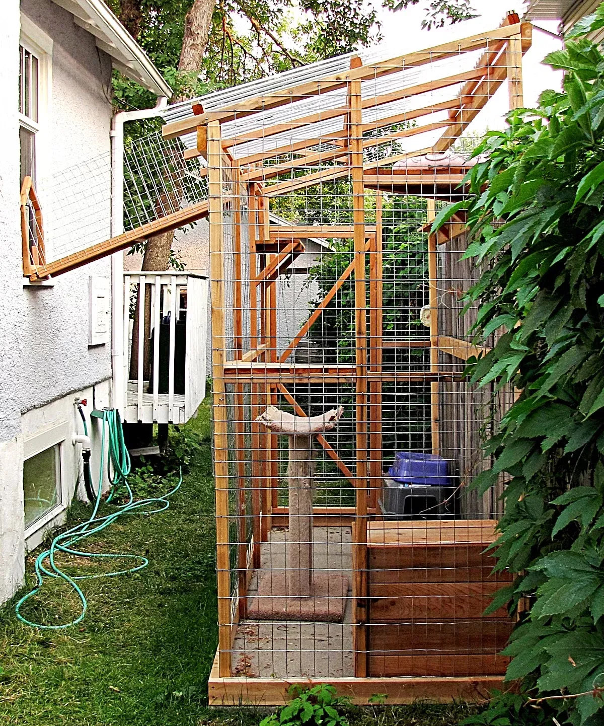 Backyard Catio