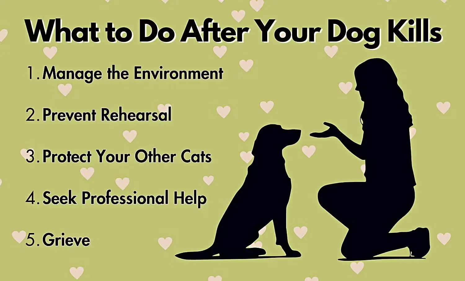 What to Do After Your Dog Kills Infographic