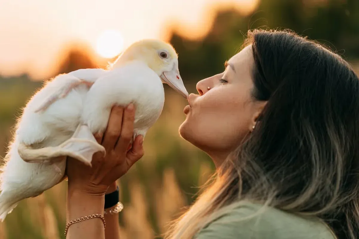 A woman smooching a cute duck.