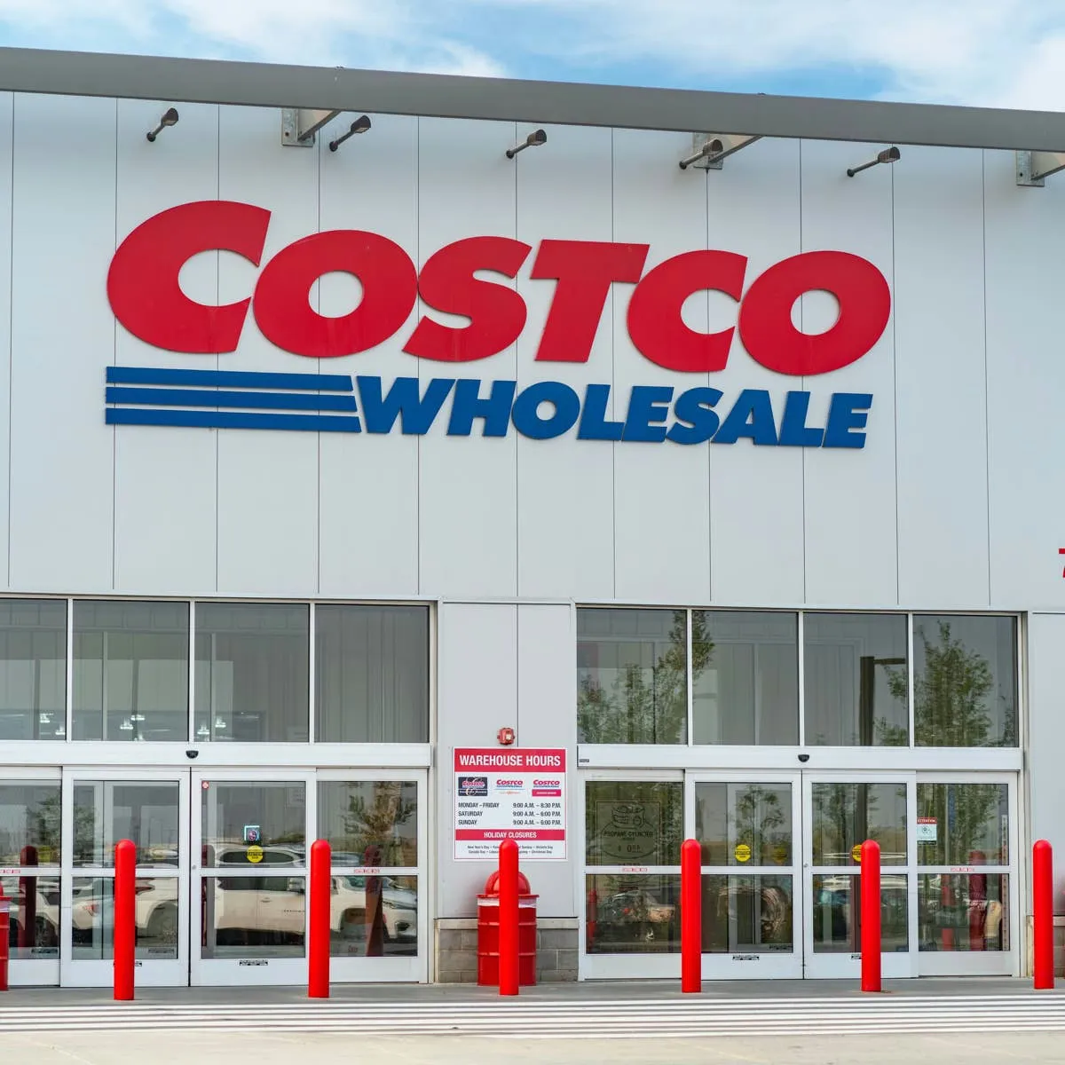 Costco Offers a Washable Area Rug That Suits Dog-Friendly Households