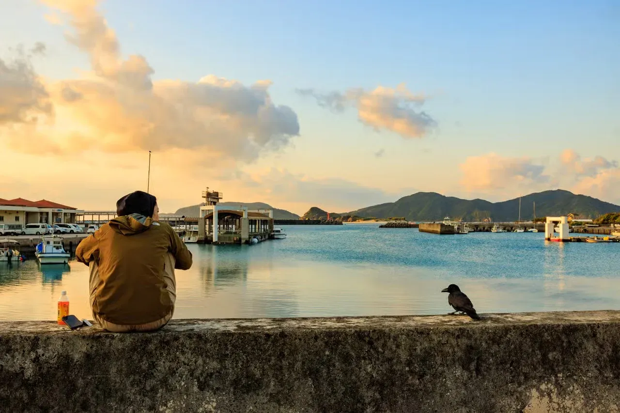 A person an a friendly crow together on a sea wall.