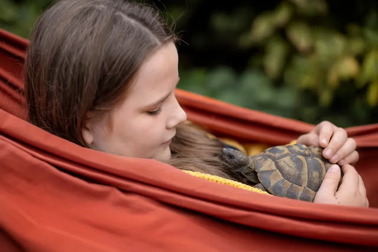 A girl in a hammock holding a pet tortoise.