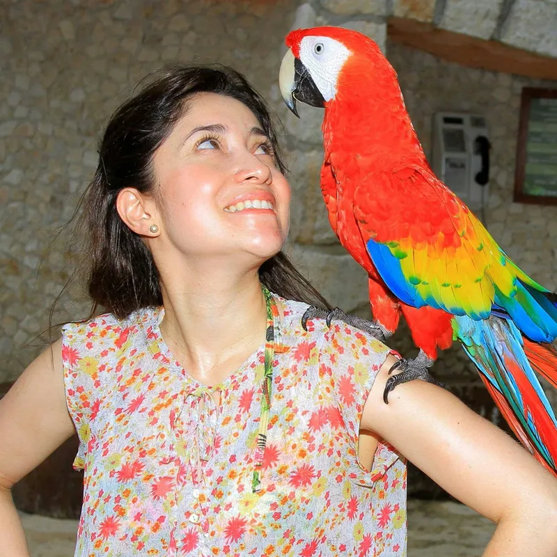 Four Effective Ways to Keep Your Parrot Active