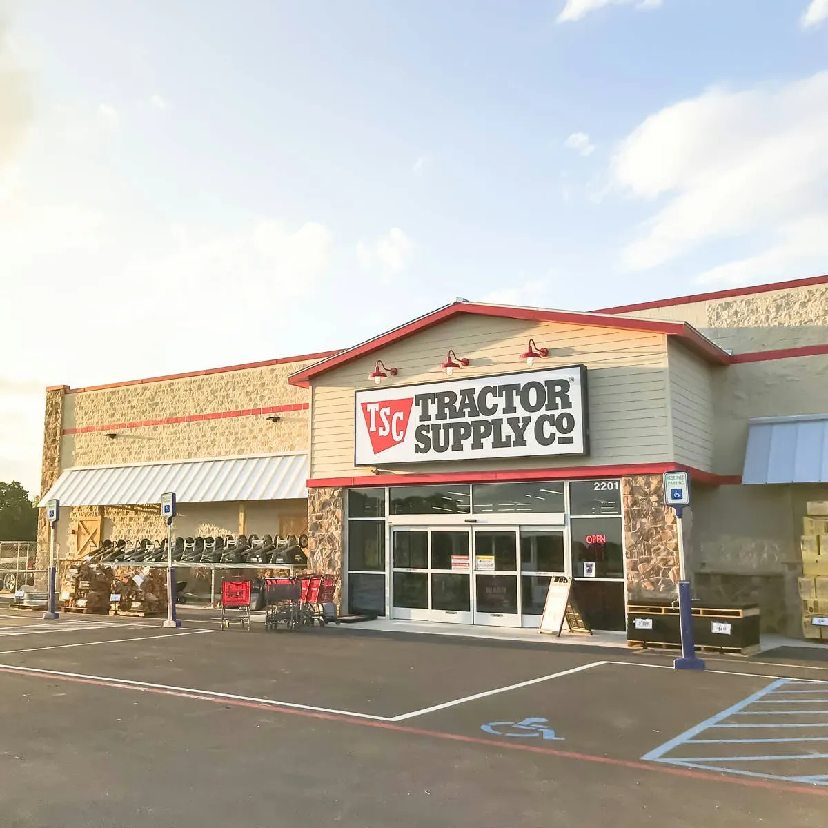 Tractor Supply's Jumbo Fish Plush Toy That Dog Owners Rave About