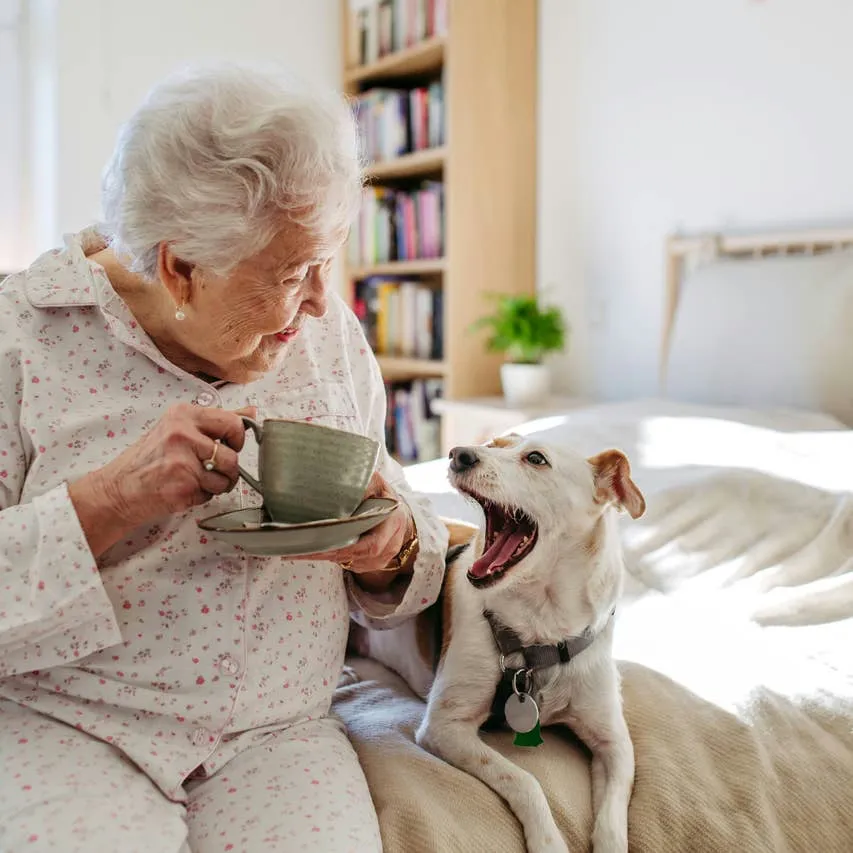 Beyond Puppyhood: 150+ Vintage Lady Names That Suit Dogs at Any Age