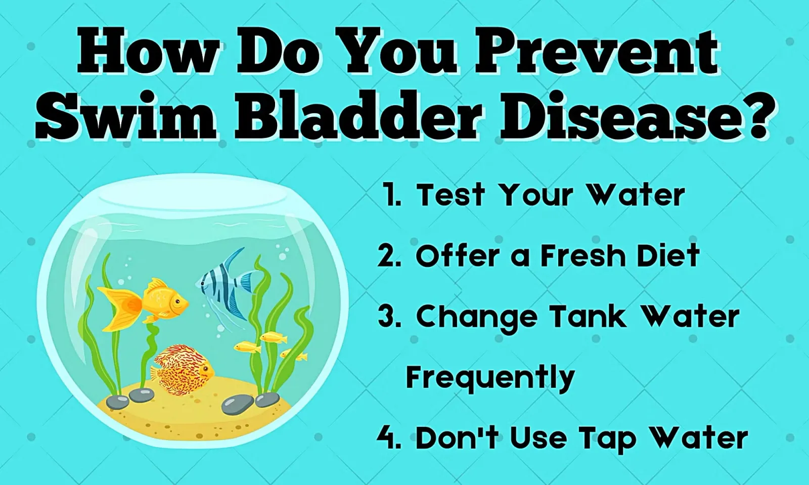 How Do You Prevent Swim Bladder Disease?
