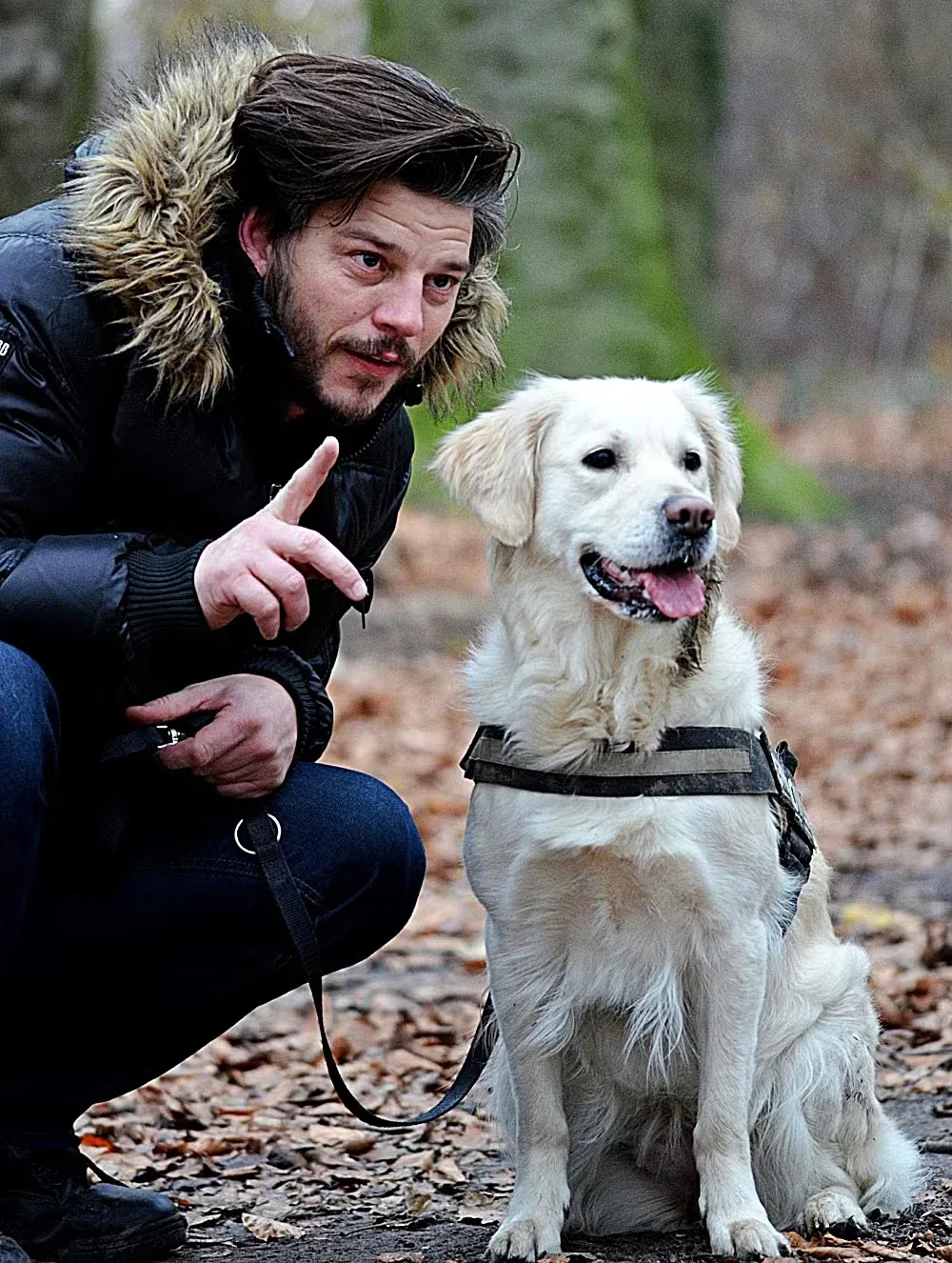 Dog Training