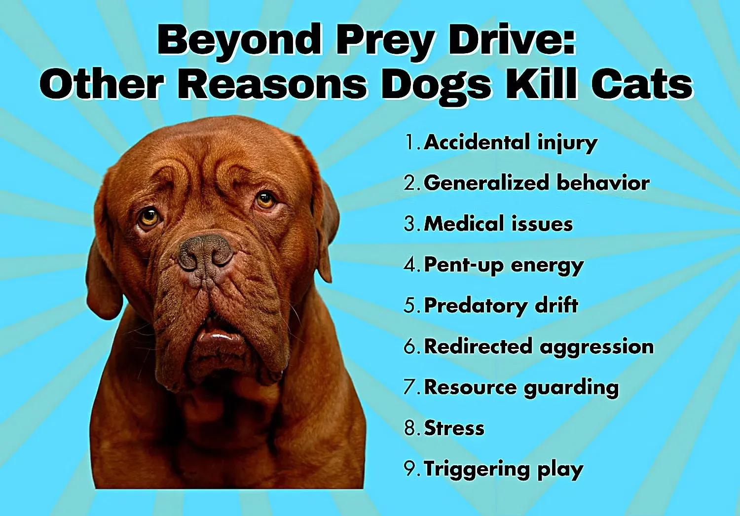 Beyond Prey Drive Infographic