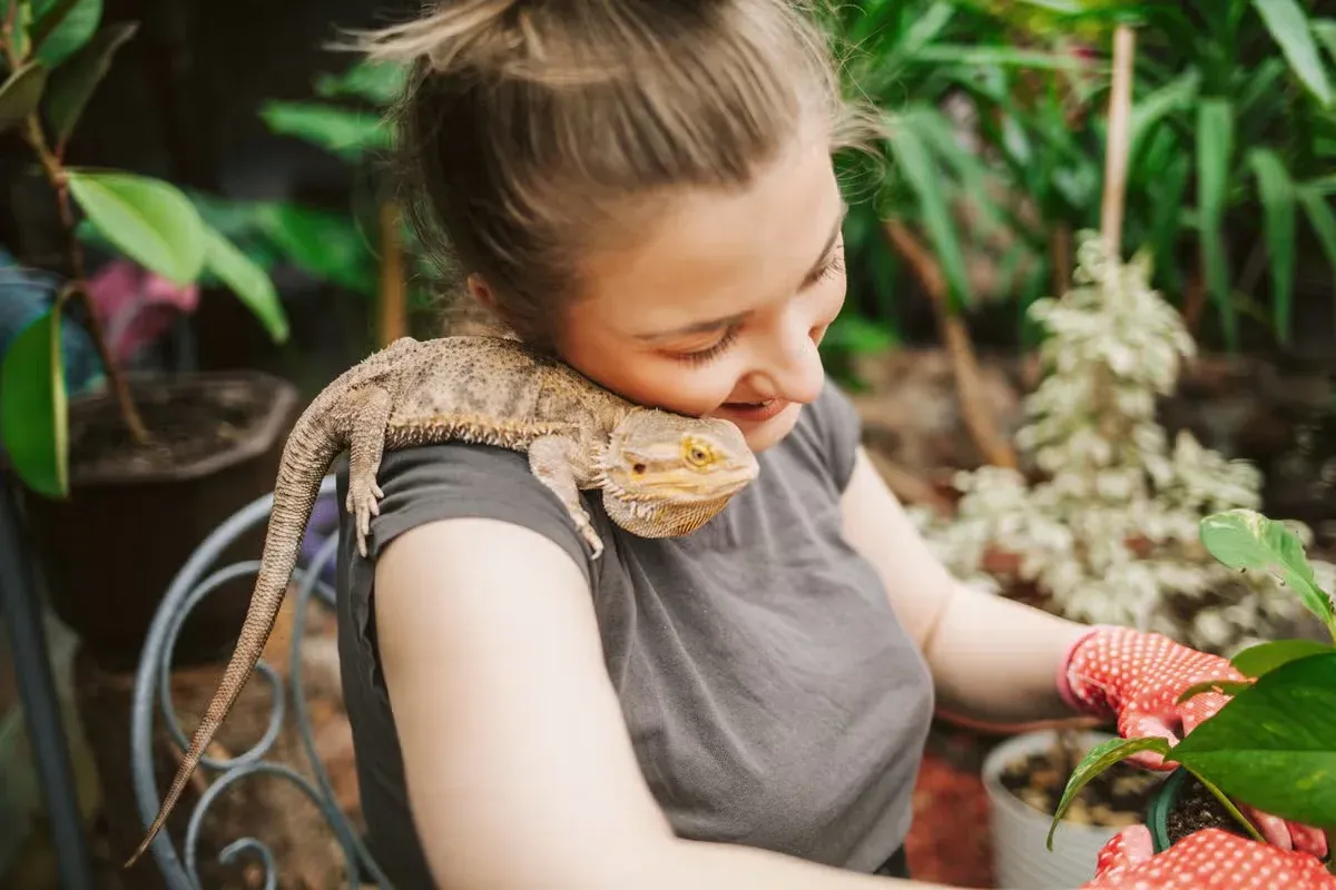 A woman hanging out with her pet lizard.